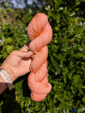 Peachy Madder - NSW Merino 4ply