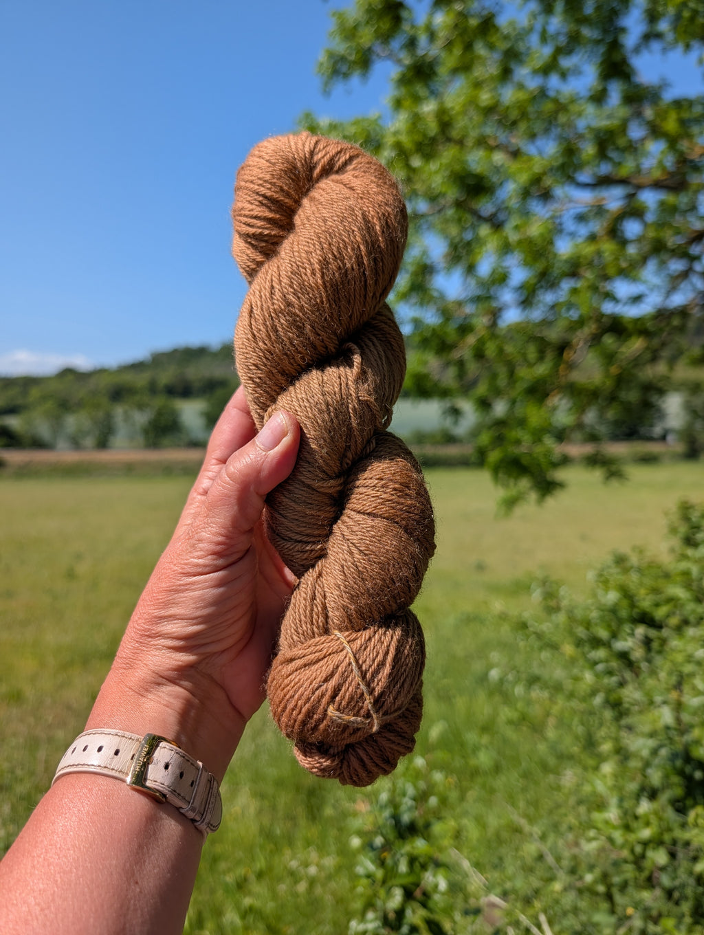 Walnut Brown - 450 Merino