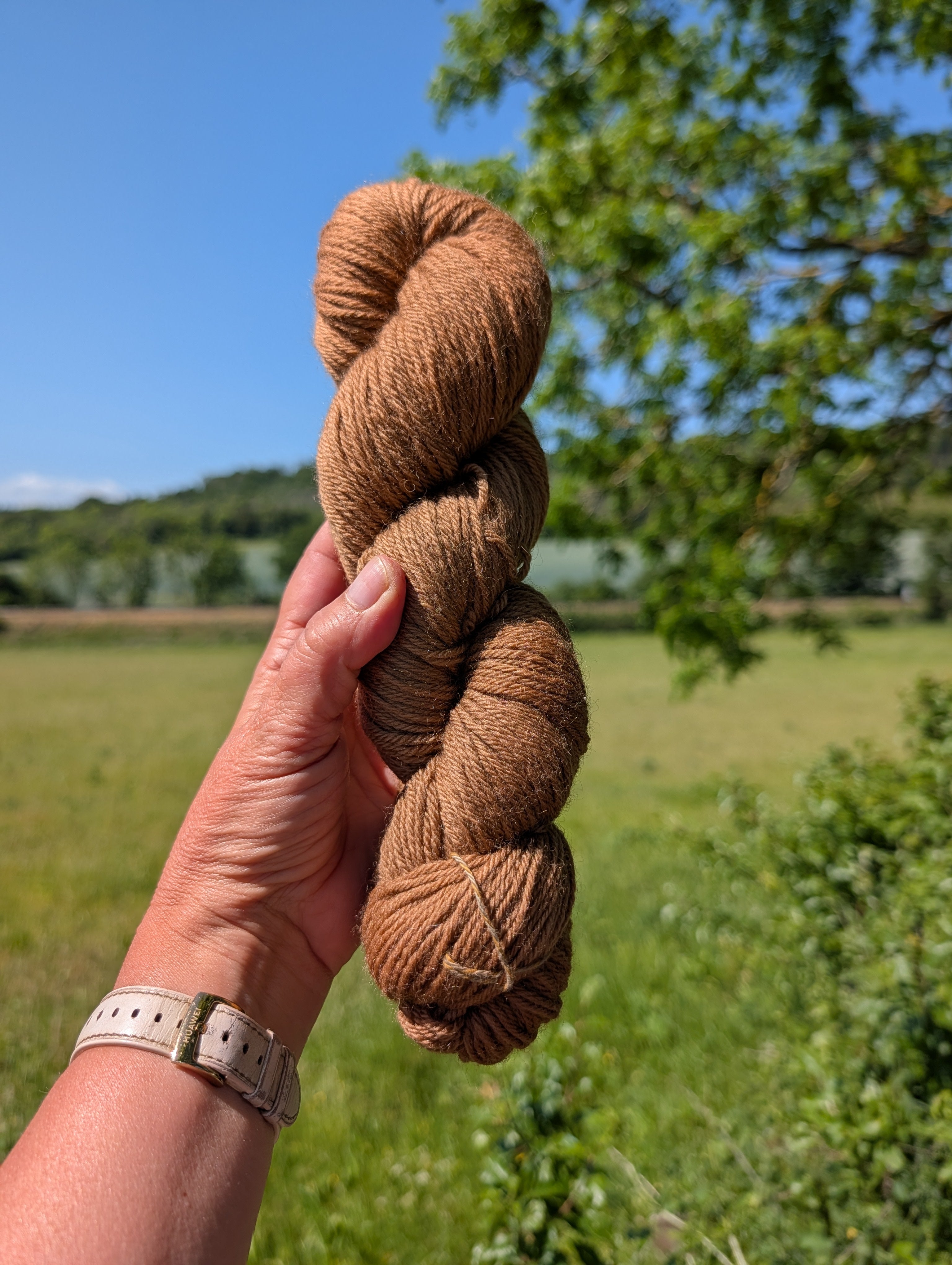 Walnut Brown - 450 Merino