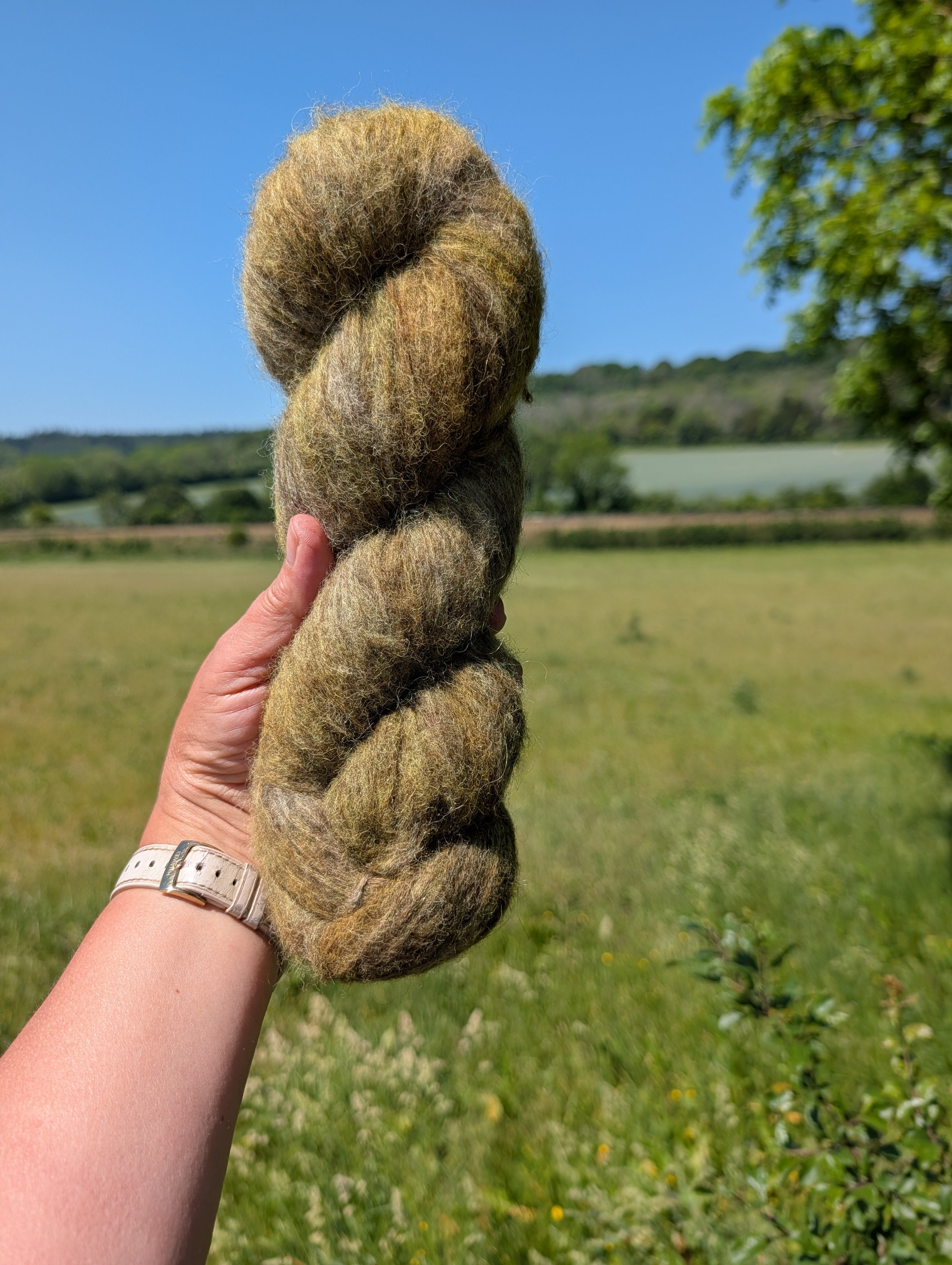 Murky Moss on a Secret Path - Alpaca Cotton Air