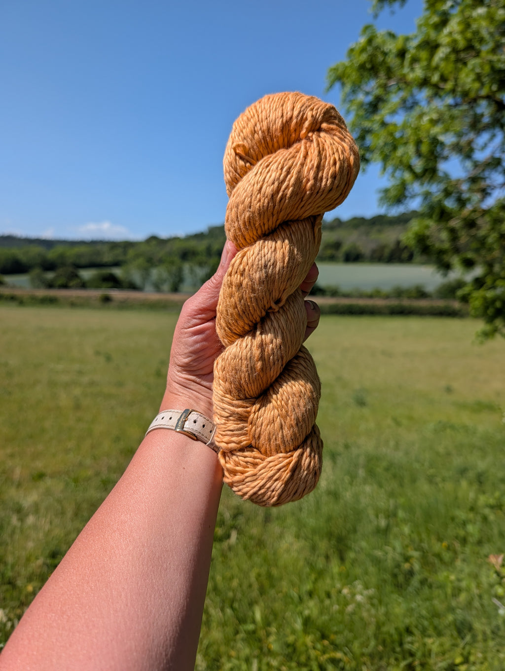 Golden Onion - Pima Air DK (Organic/Vegan)