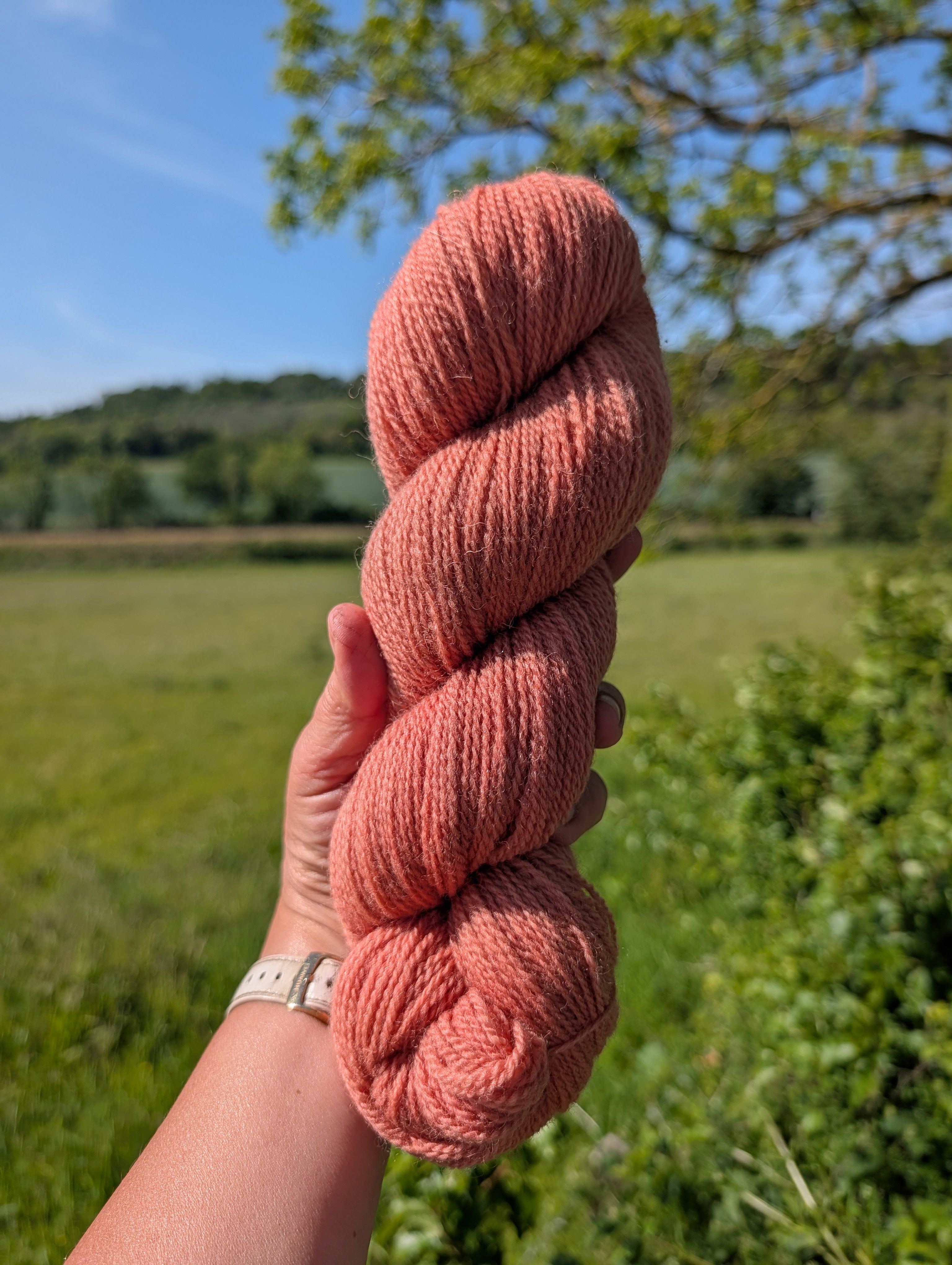 Sunset Blush - Shetland Fingering