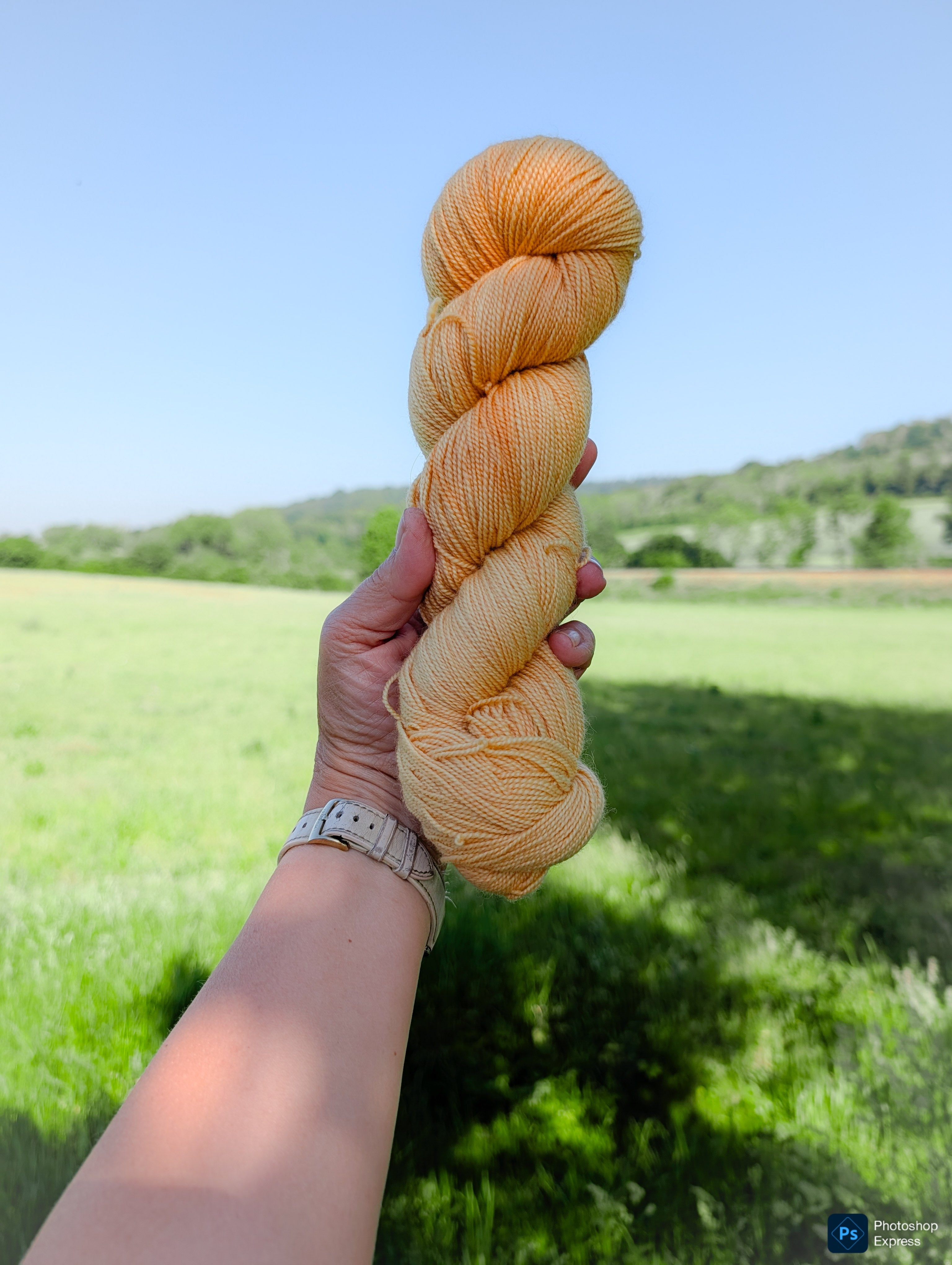 Golden Onion- NSW Merino 4ply