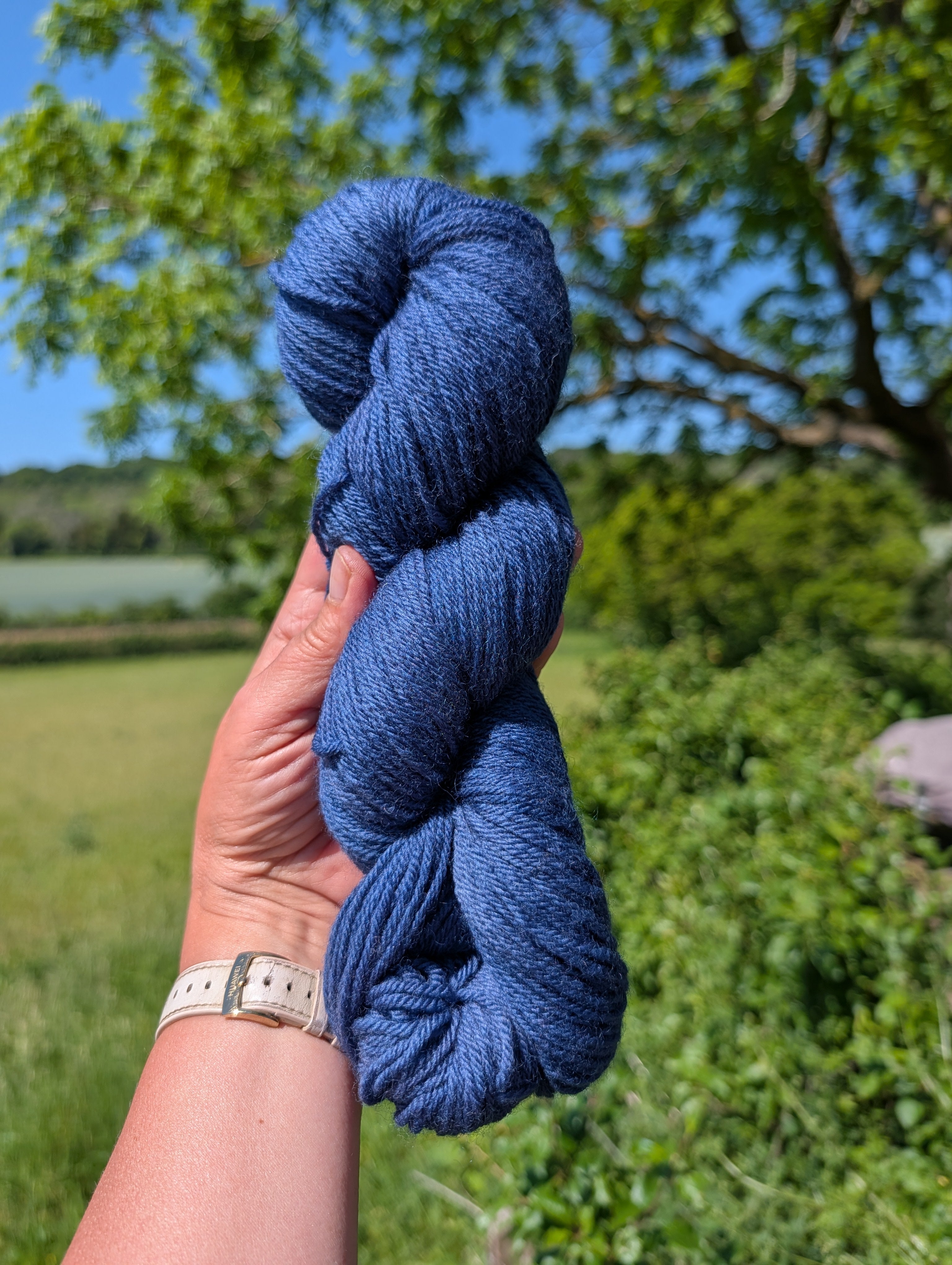 Midnight Logwood - Organic Merino DK