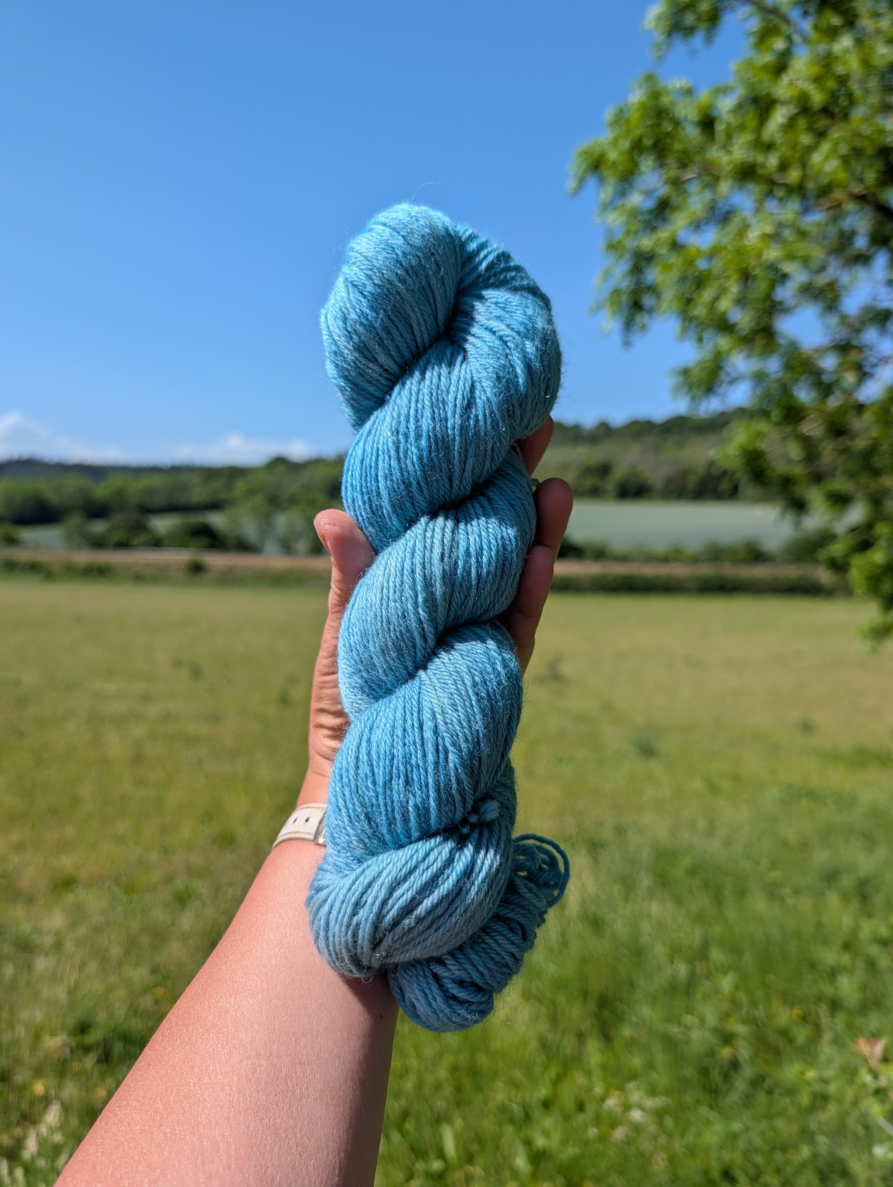 Sea Garden Teal- Organic Merino DK