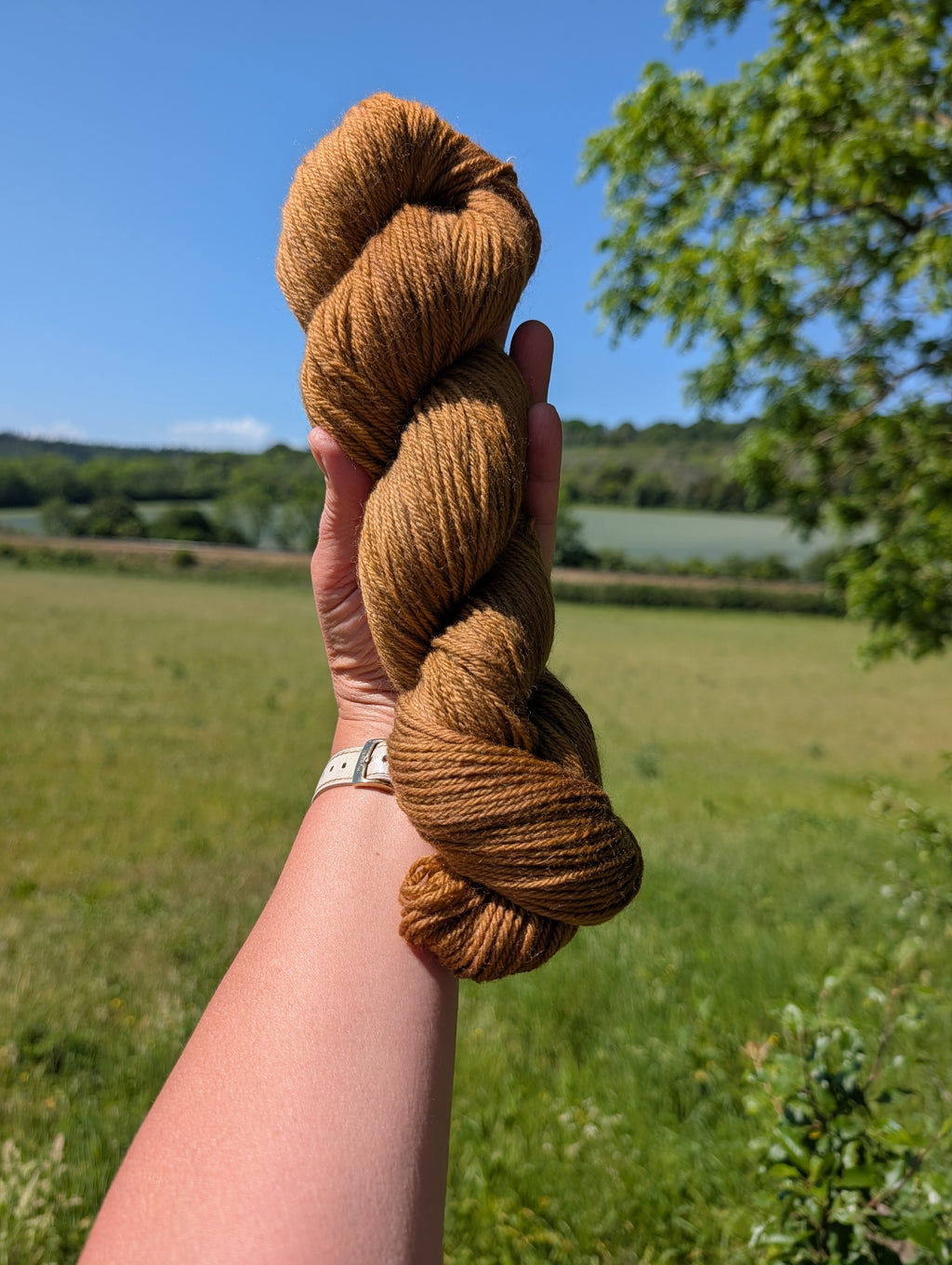 Walnut Amber - Organic Merino DK