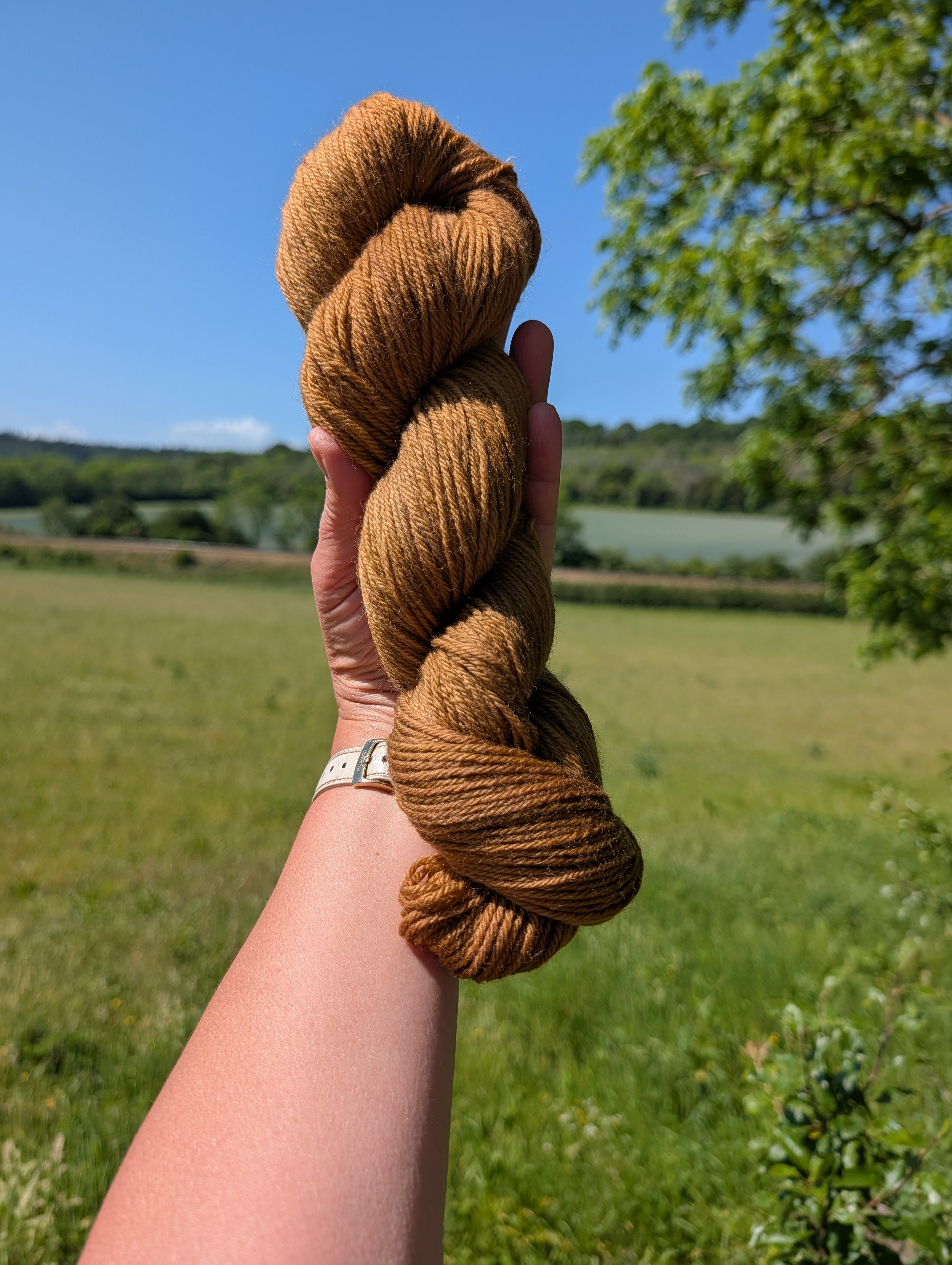 Walnut Amber - Organic Merino DK