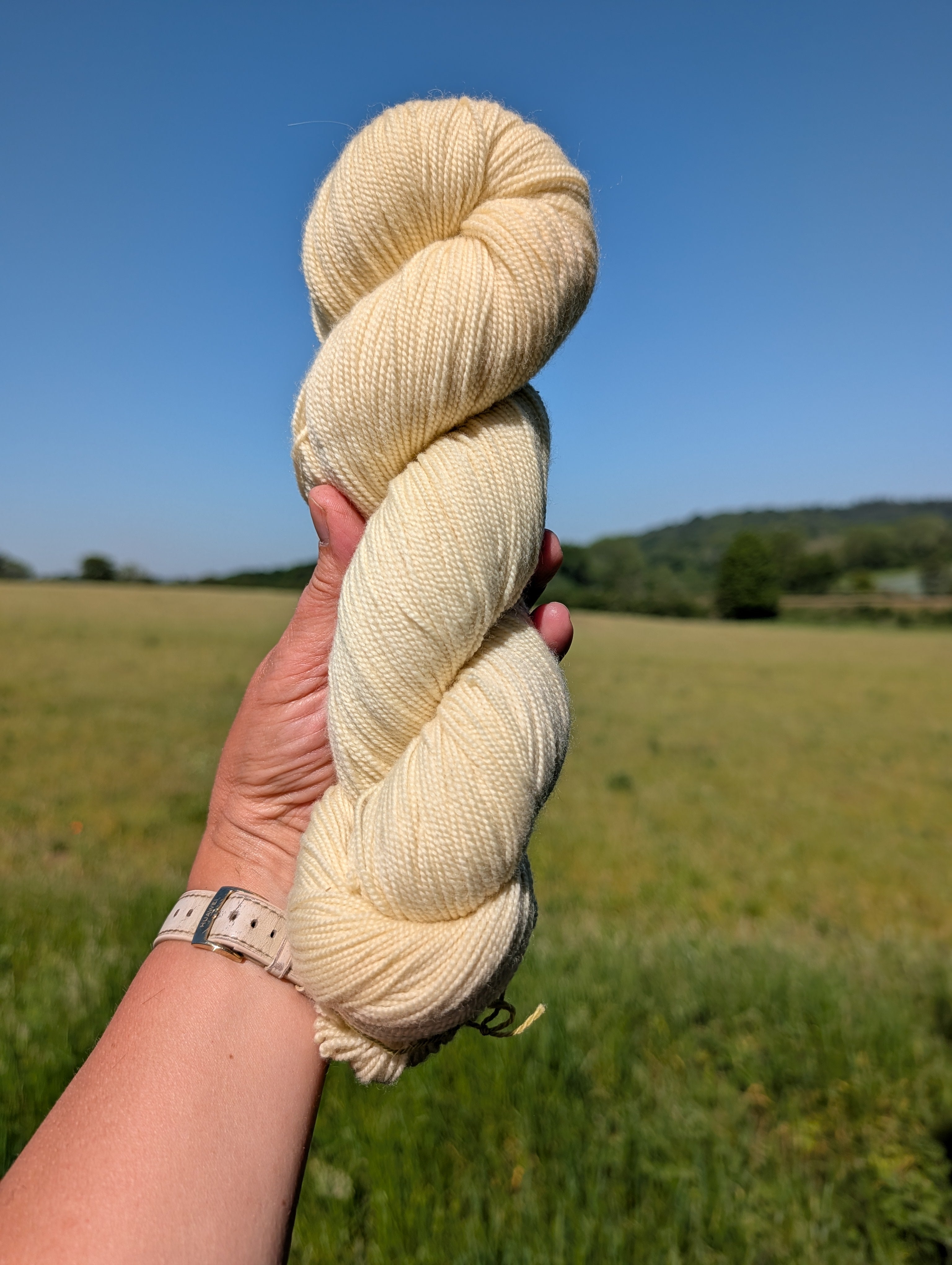 Apple Twigs - NSW Merino 4ply