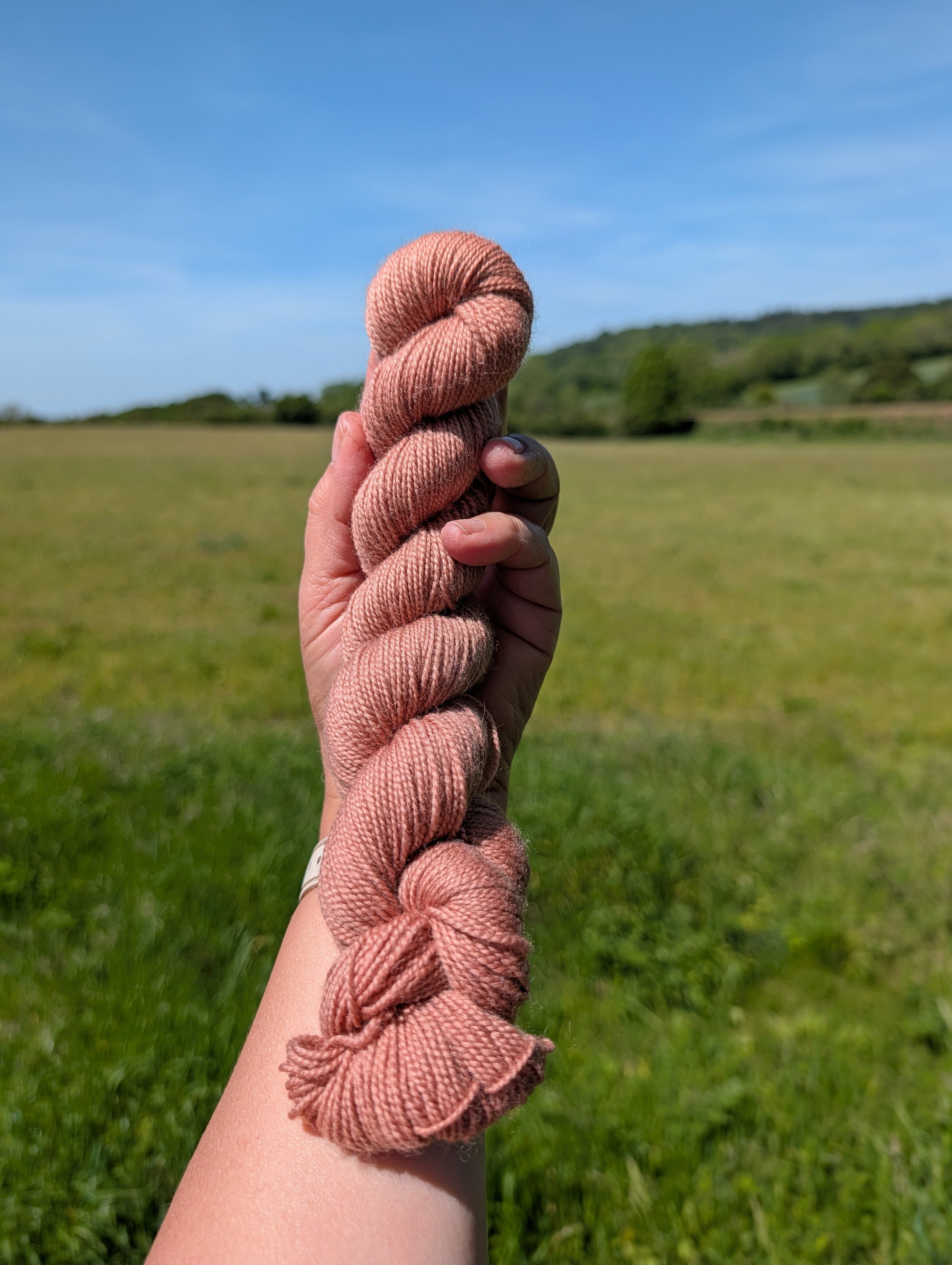 Antique Rose - BFL High Twist SW