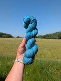 Seagarden Teal - 450 Merino
