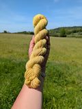 St John's Wort - BFL High Twist SW