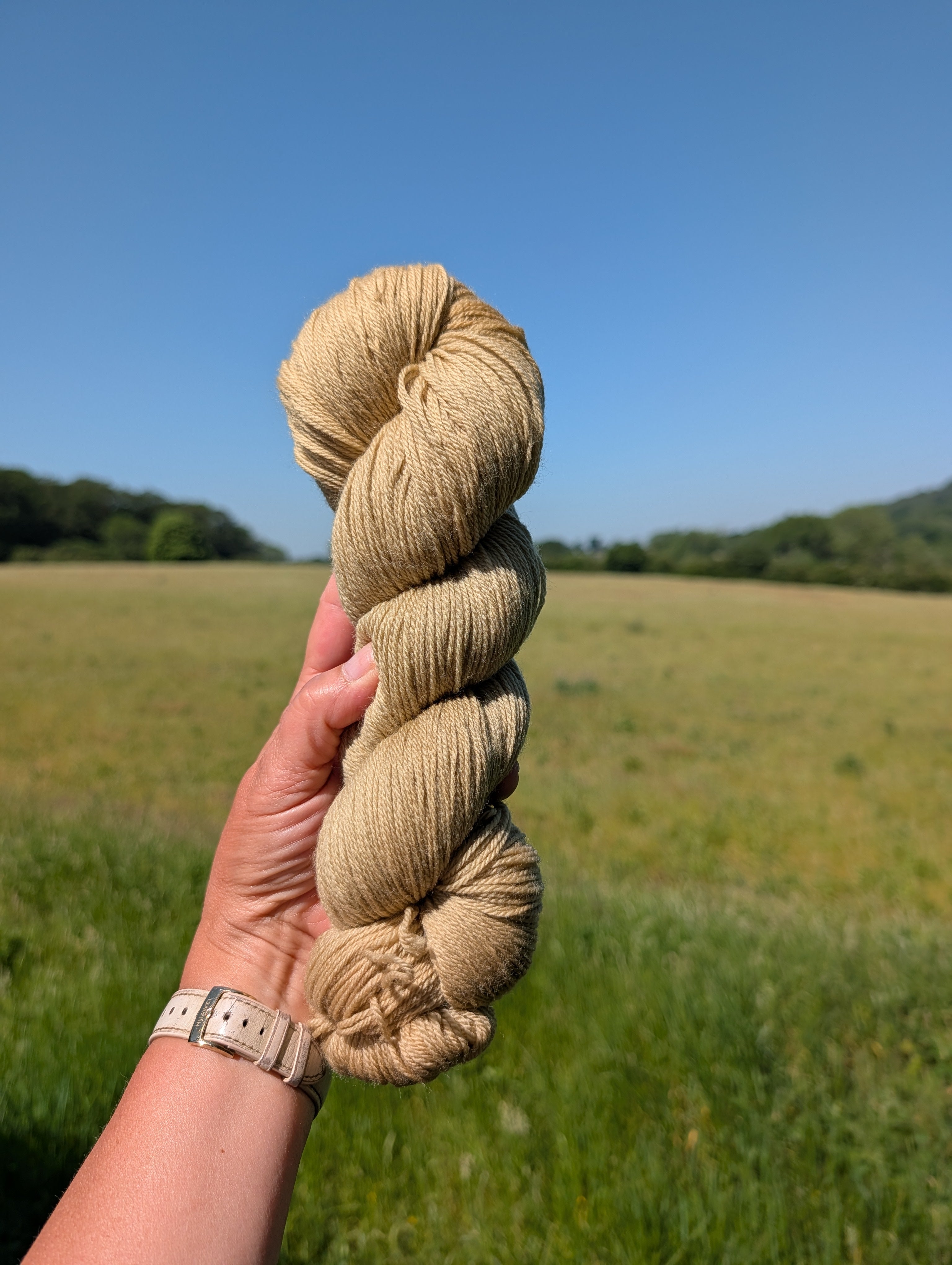 Garden Nettle - 450 Merino