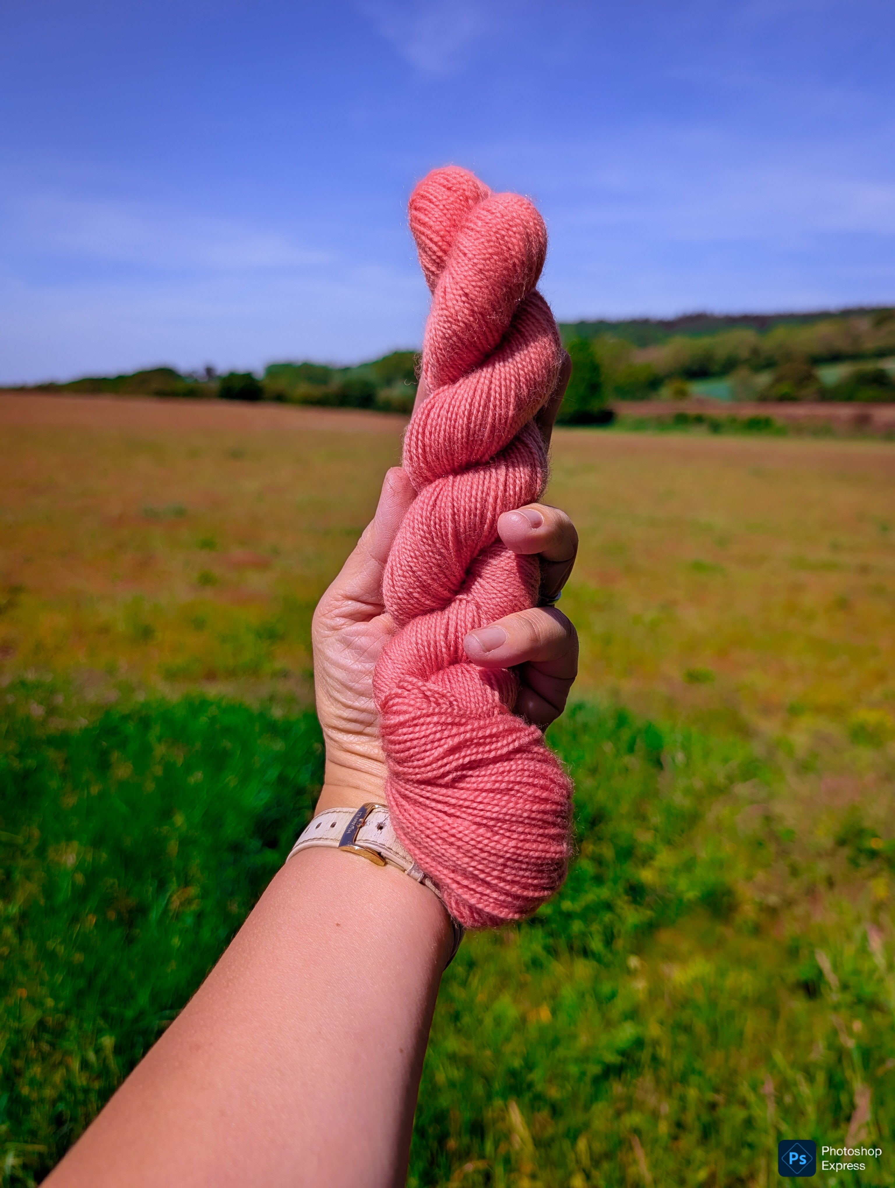 Wild Pink - BFL High Twist SW
