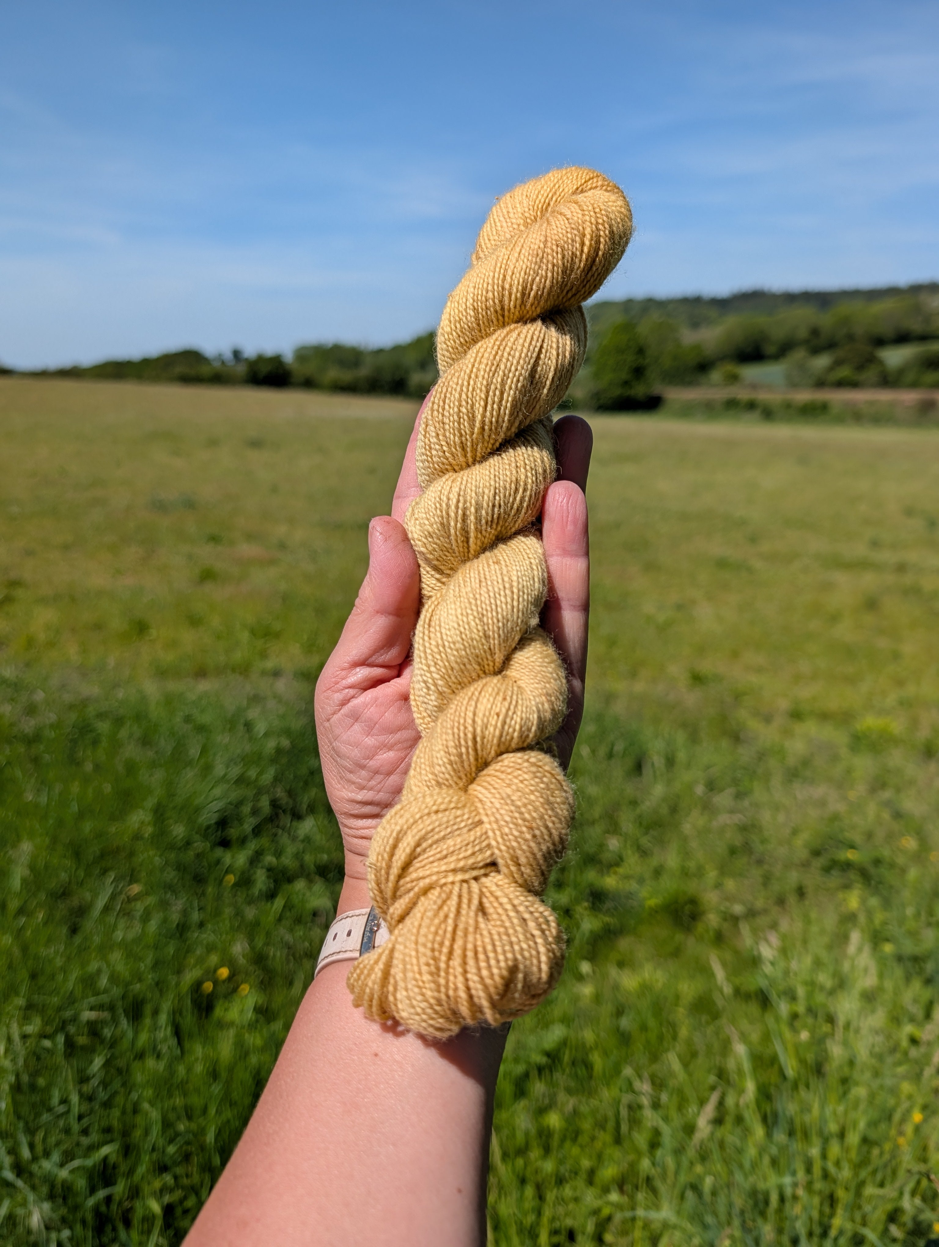 Chamomile  - BFL High Twist SW