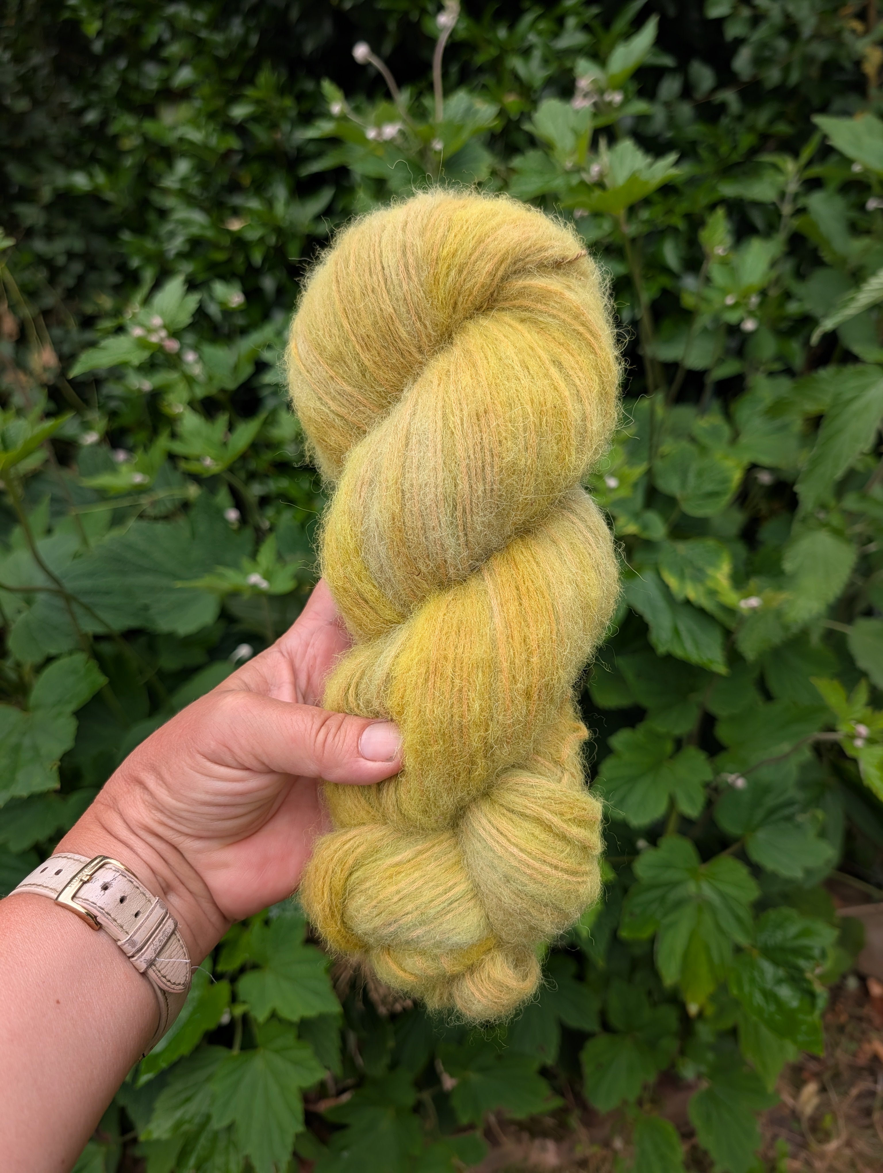 After the heatwave - Alpaca Cotton Air