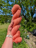 Sunset Blush - Organic Merino DK
