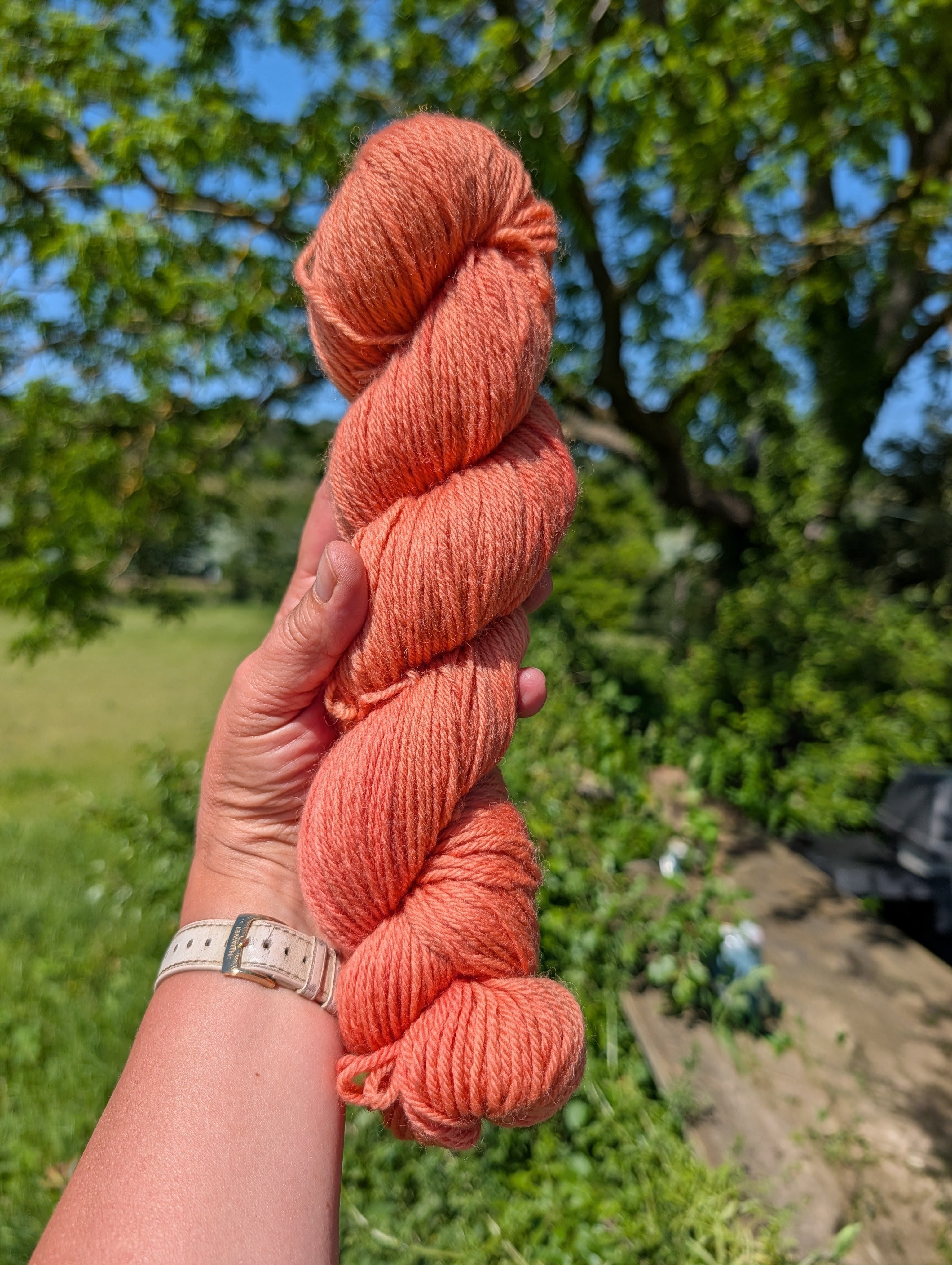 Sunset Blush - Organic Merino DK