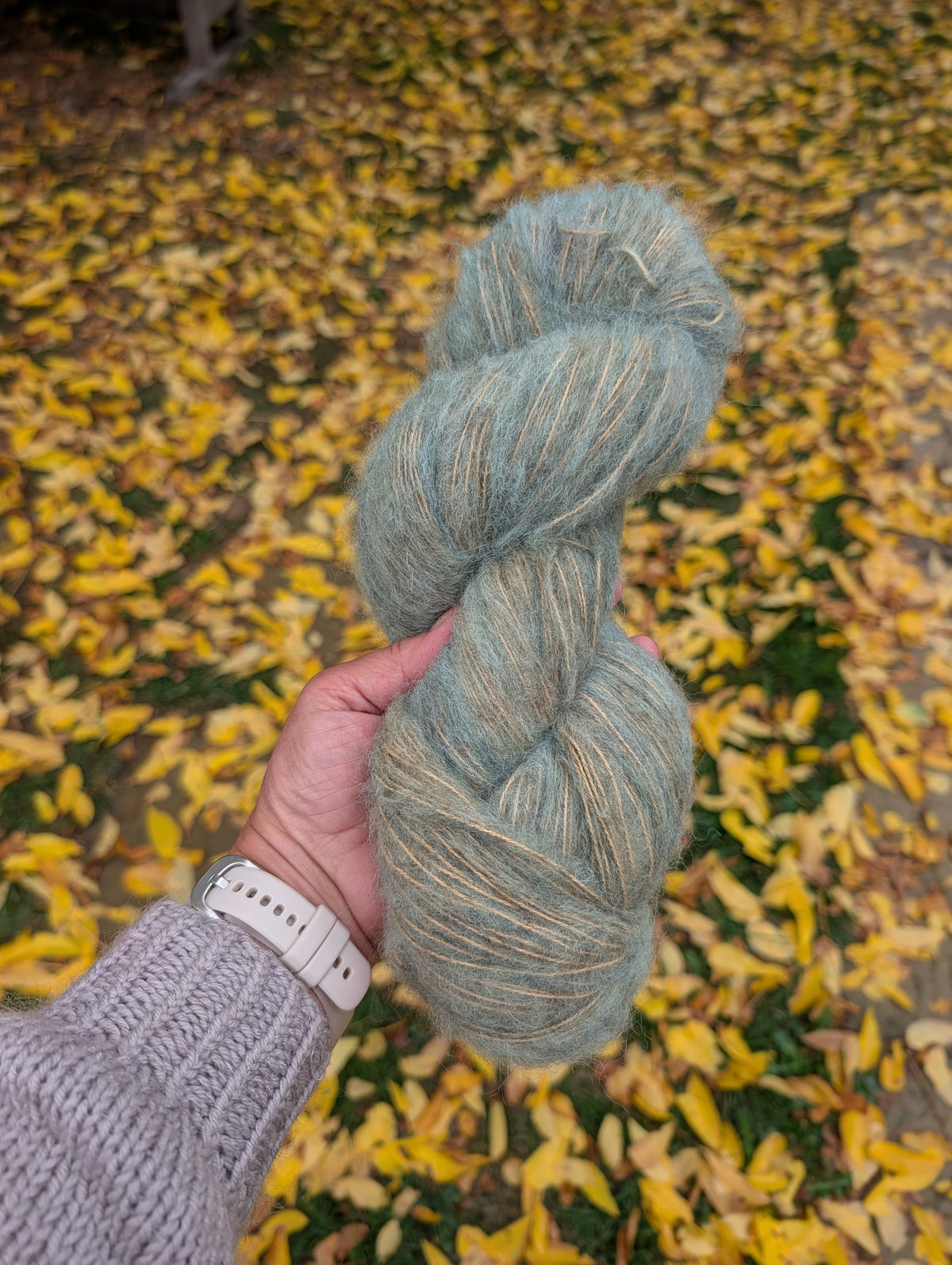 Seagarden - Molly Fluff