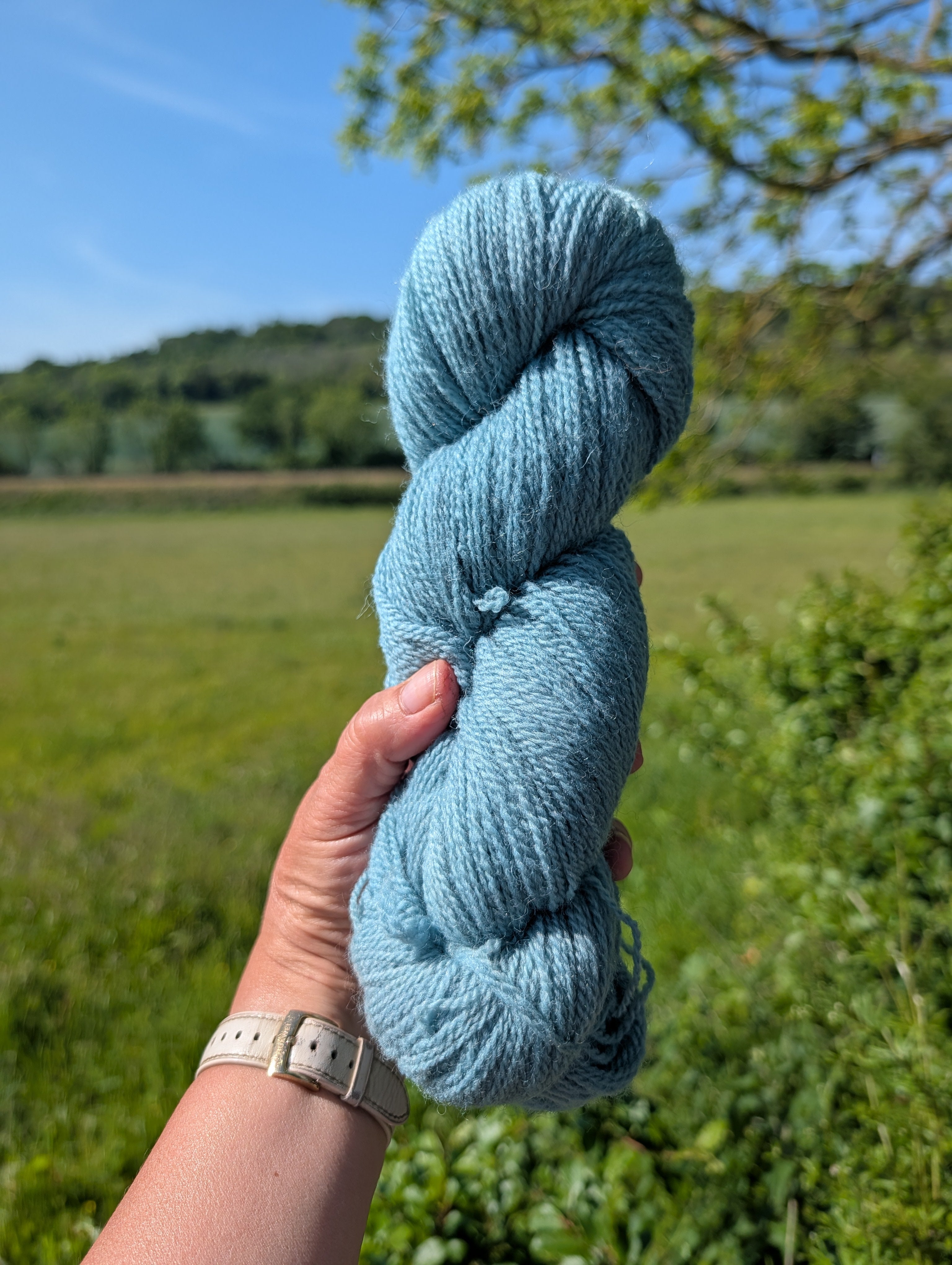 Sea Garden Teal - Shetland Fingering