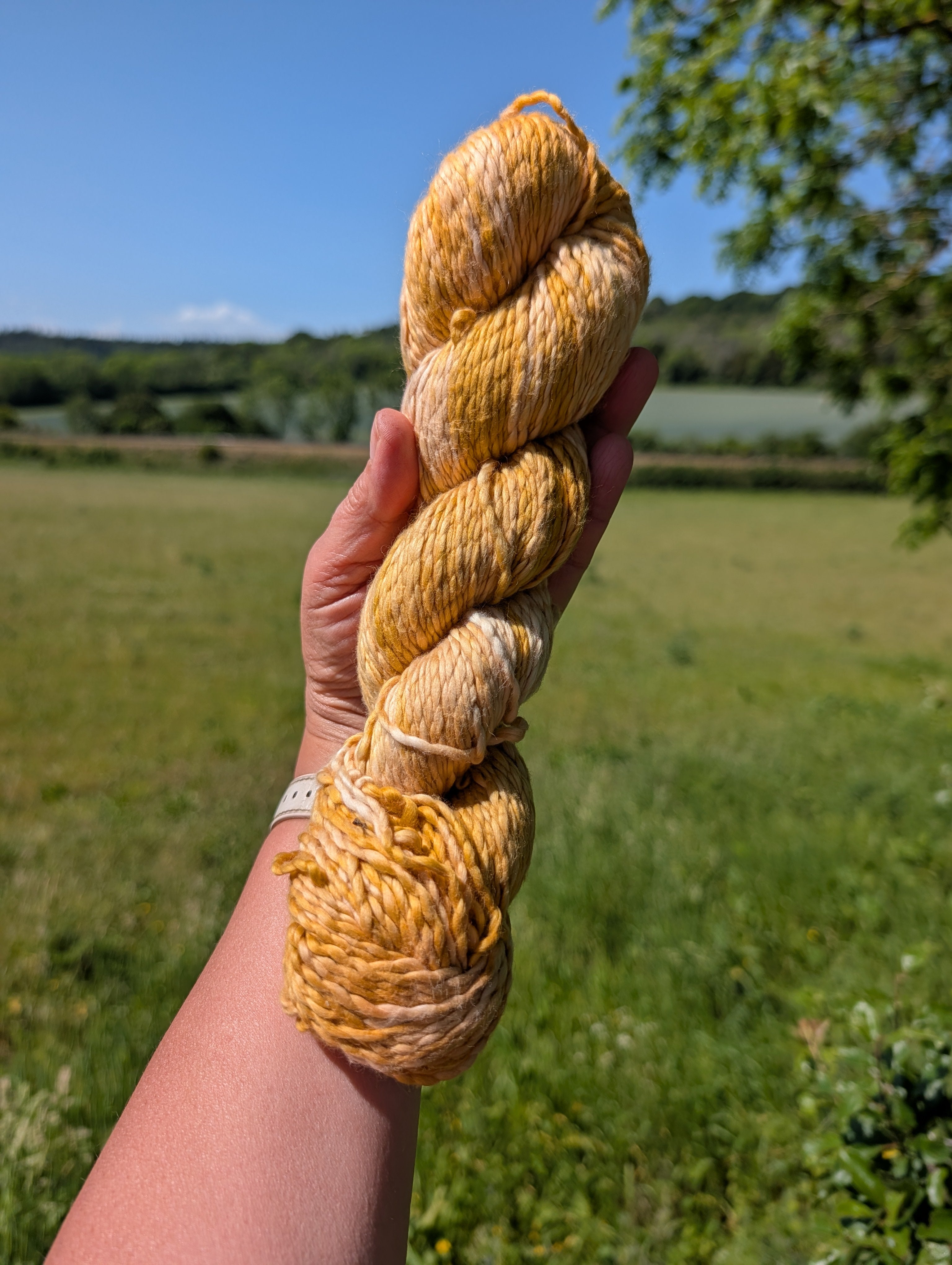 Golden Onion - Pima Air DK (Organic/Vegan)