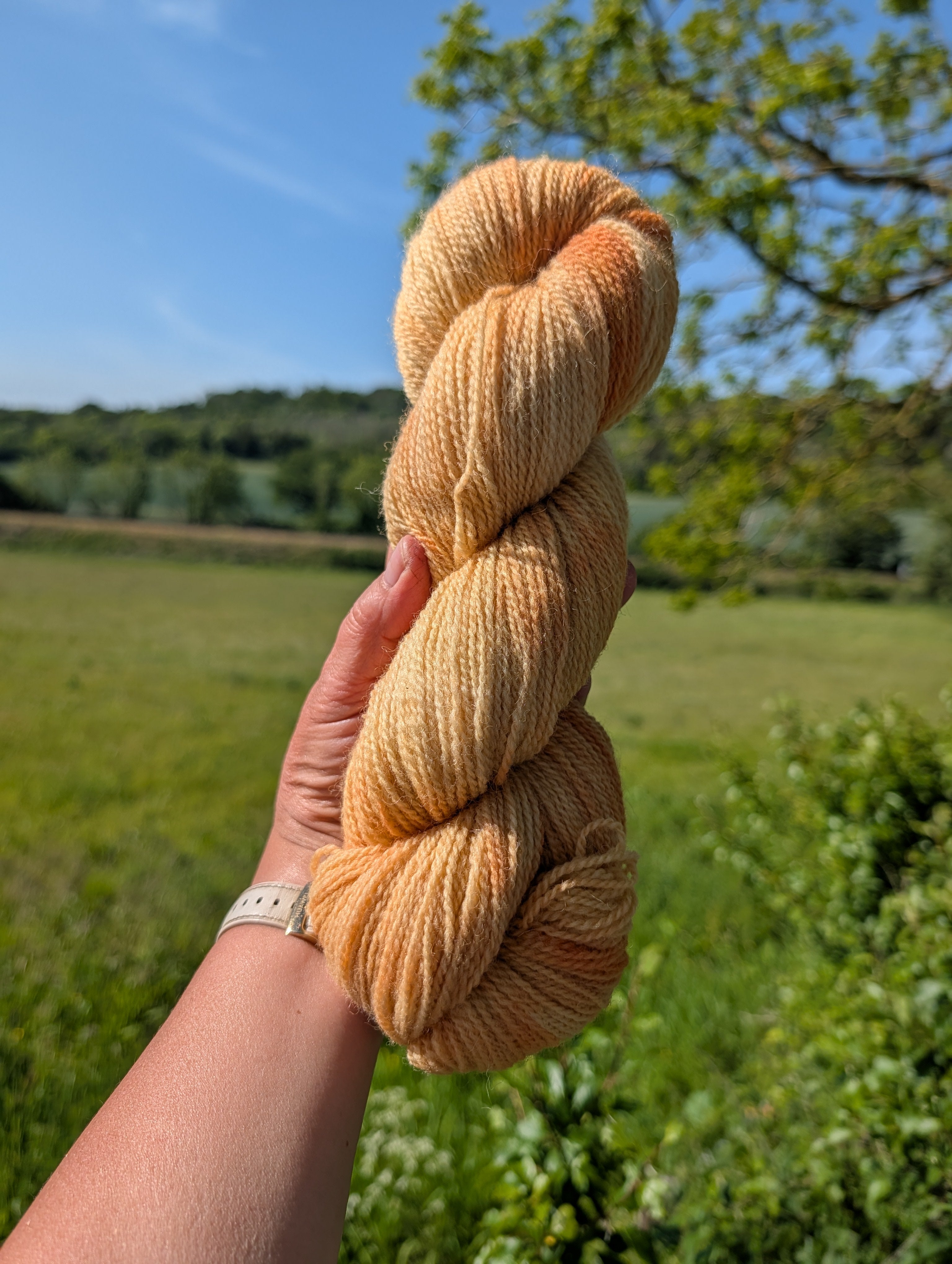 Golden Onion - Shetland Fingering