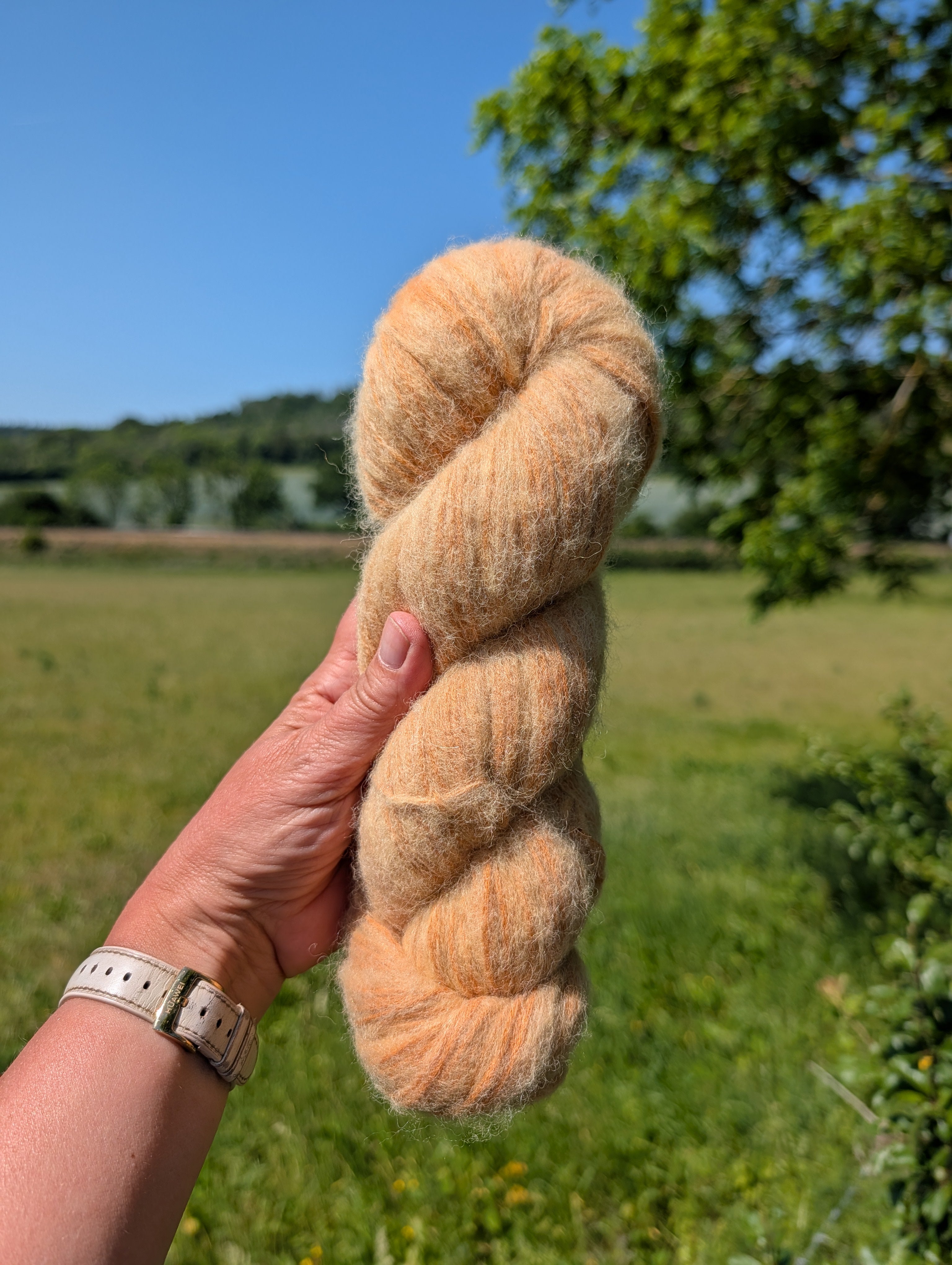 Golden Onion - Alpaca Cotton Air